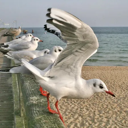 Minna Mit Grossem Balkon Appartement *