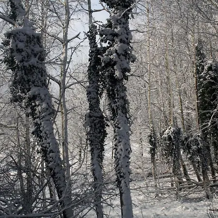 Minna Mit Grossem Balkon Goehren (Ruegen)