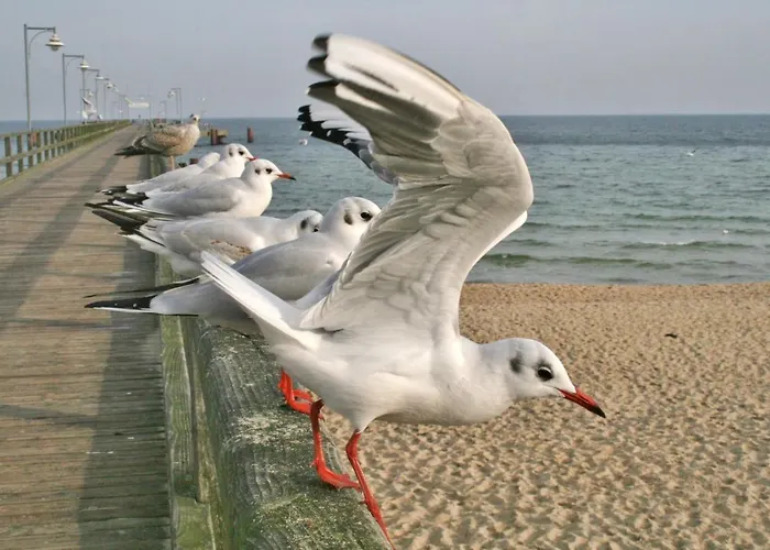 Minna Mit Grossem Balkon 公寓 *